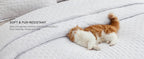 Quilts Queen Size - Bright White Bedspread Queen Size & Lightweight Comforter, Modern Coverlet with Clover Pattern, Ultra Soft All-Season Bedding, 90 x 96 Inches | Stitch-Free Quilting, Lightweight, Summer Bedding Set, Machine Washable, Pet-Friend
